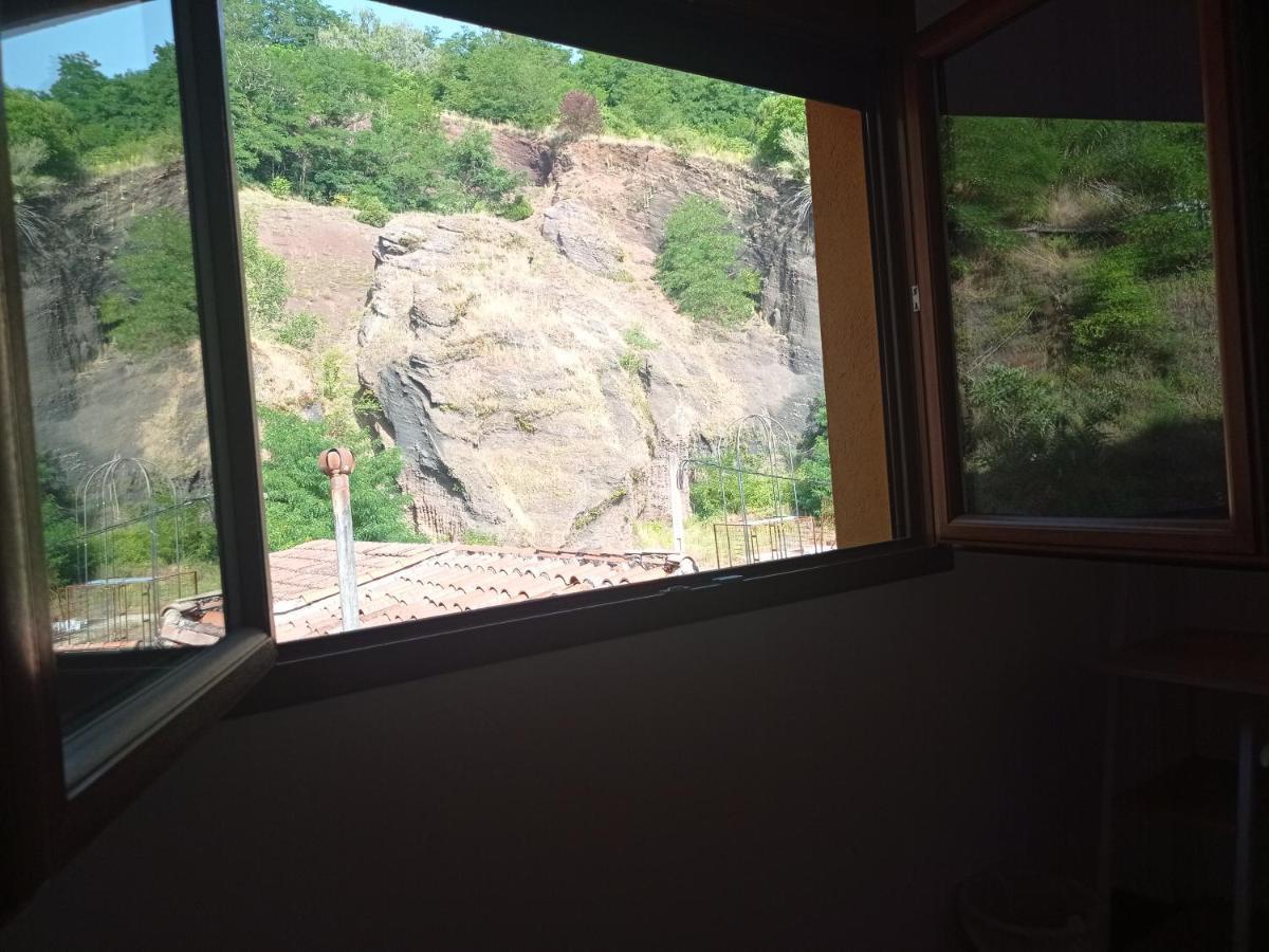 Allotjament Buixeda Olot Εξωτερικό φωτογραφία